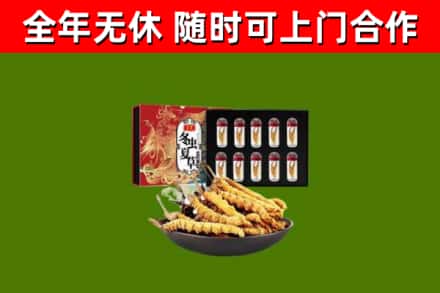 正定烟酒回收冬虫夏草礼盒.jpg