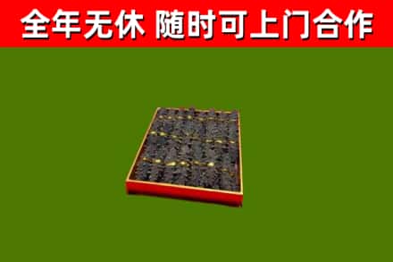 正定回收海参